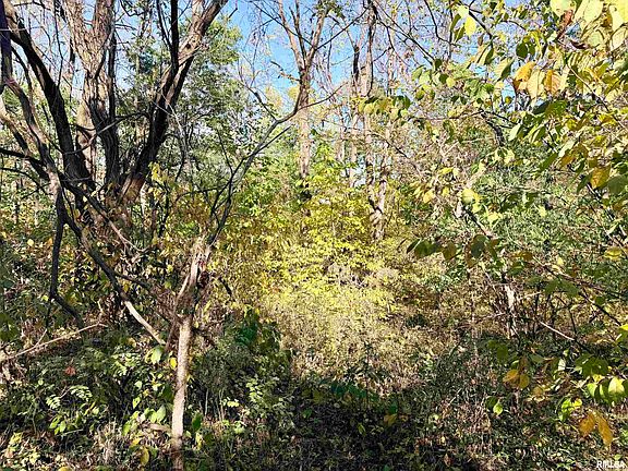 5th image of 16424 Kennedy Rd