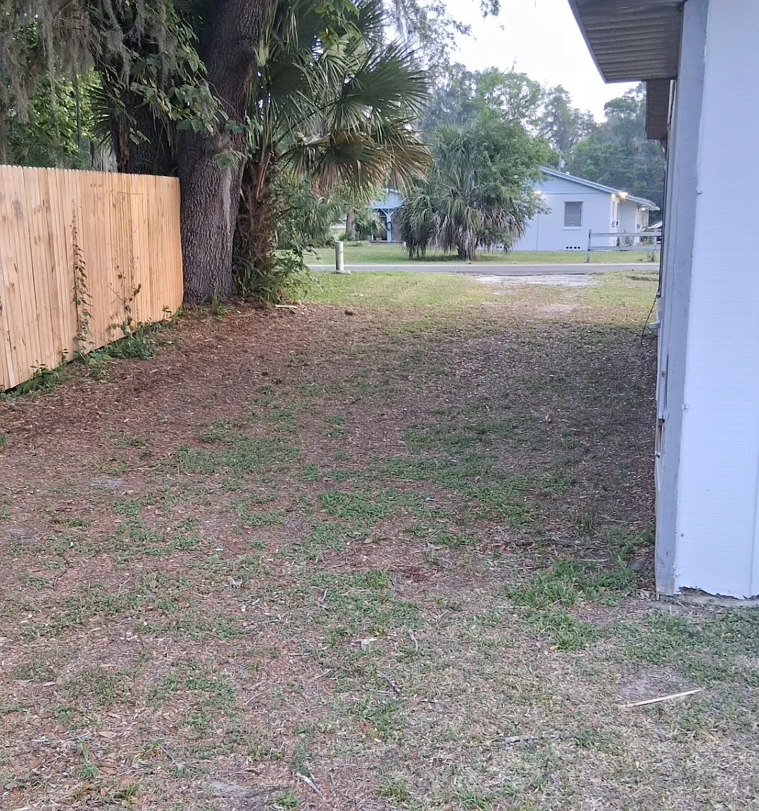 3 bed, 1.5 bath, 1549 sqft, $1,200 — Photo 3
