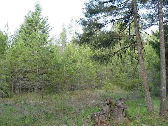 5th image of 0 Silver Birch Ct