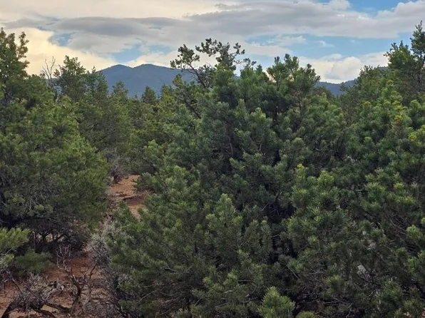 Lot 1862 Wilking Road, Fort Garland, CO 81133