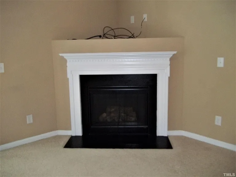 3003 Courtney Creek Blvd — Photo 9