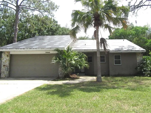 22646 Weeks Blvd, Land O Lakes, FL 34639