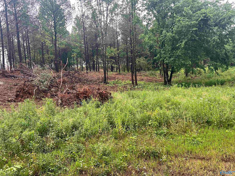 2nd image of 3 Pettusville Rd