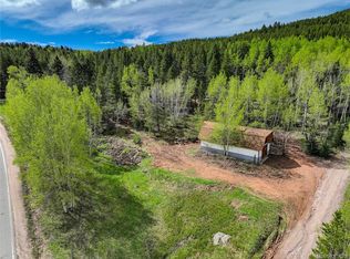 9179 Black Mountain Dr, Conifer, CO 80433