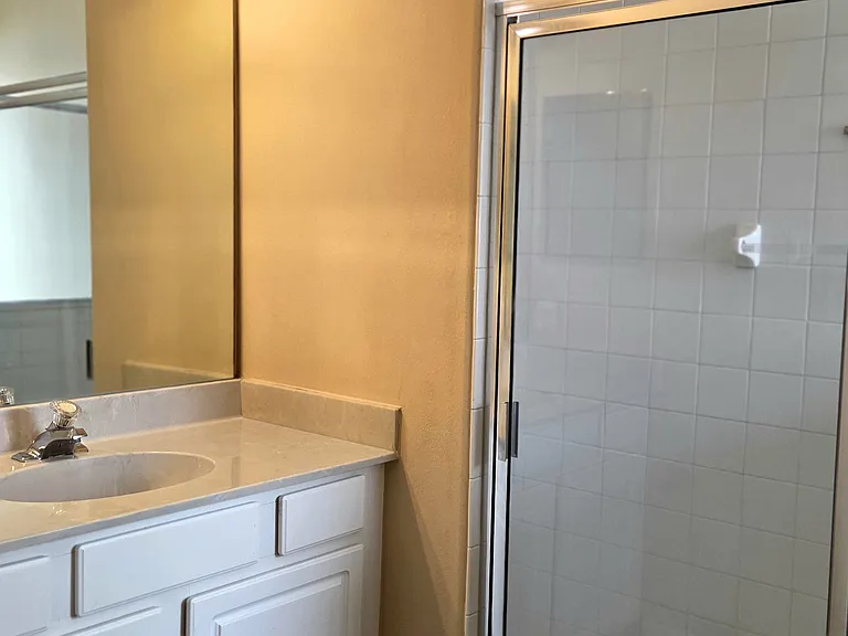 Separate shower in master bathroom