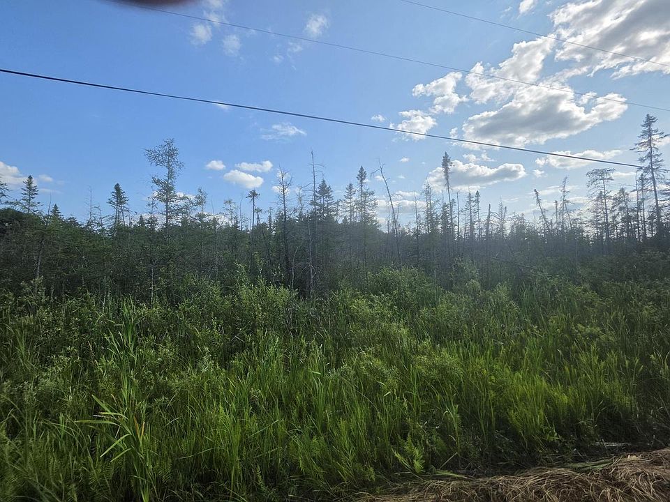 1st image of 30.99 Acre BROENNENBERG ROAD