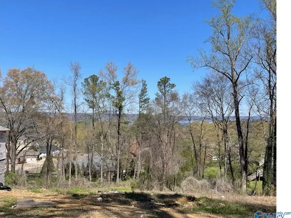 LOT 2 Hickory Hill Dr, Guntersville, AL 35976