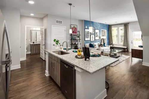 Kitchen, Living Room, and Bathroom - Icon Bridges Apartments | Luxury Apartments in McDonough, GA