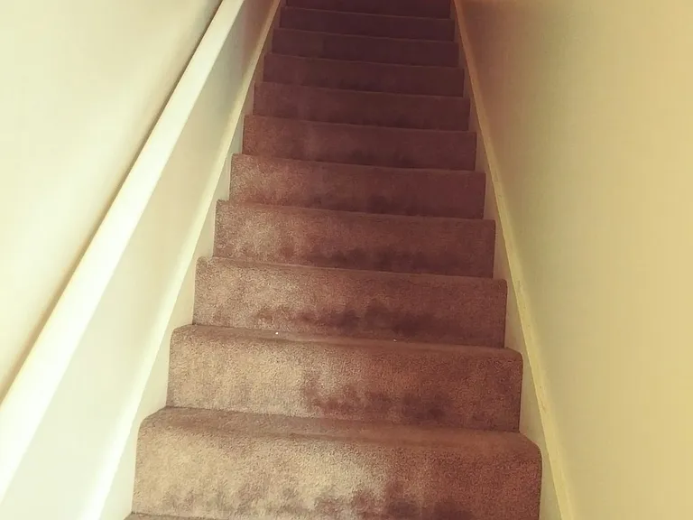 105 E Allen St #Townhouse 10 — Photo 2