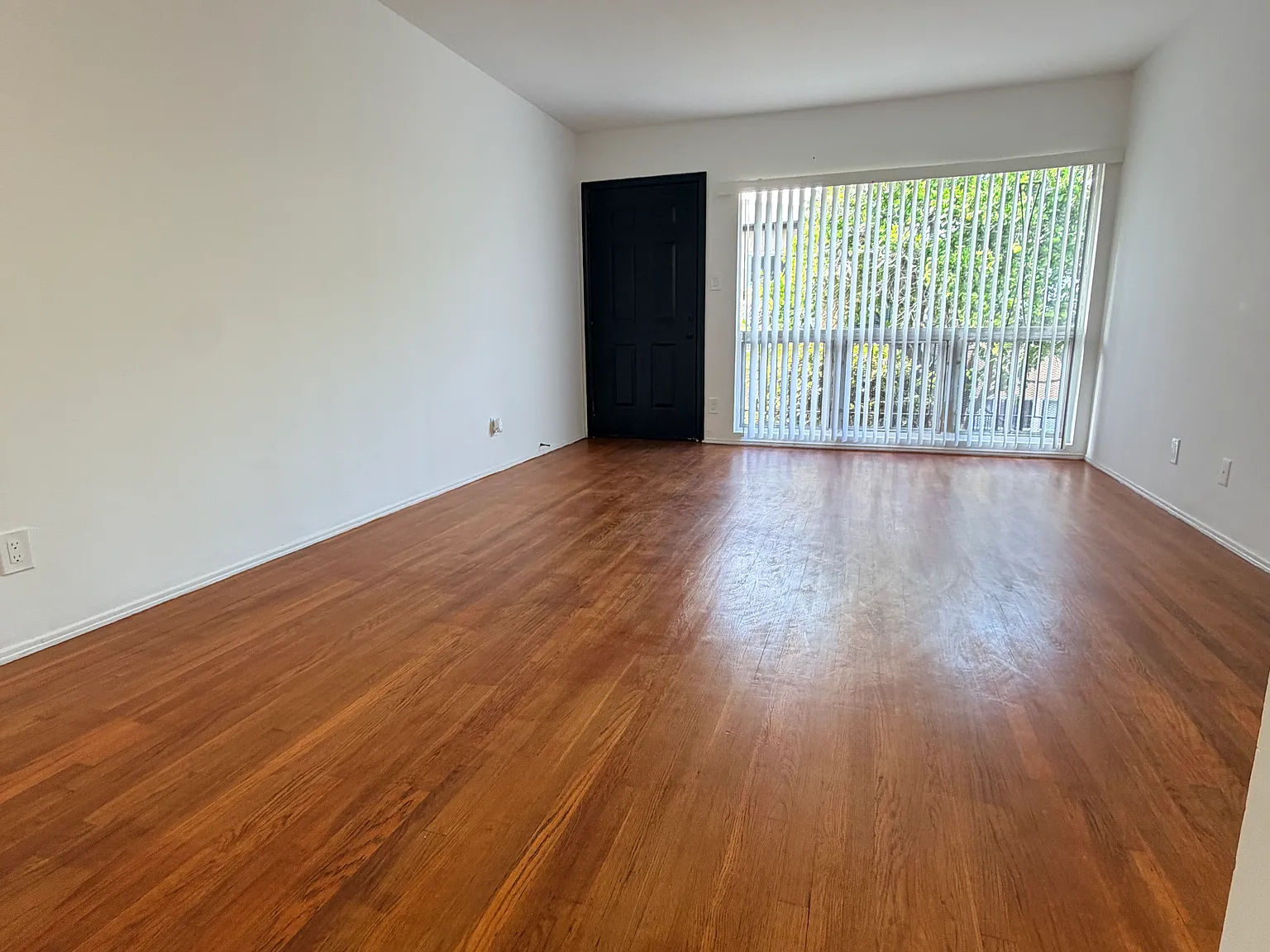 1 bed, 565 sqft, $1,695 — Photo 4