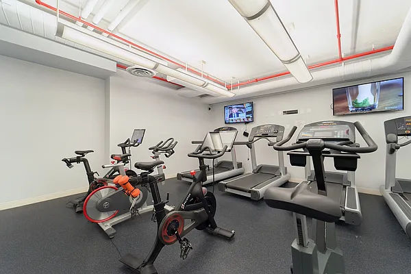 Rented by Living New York | media 30