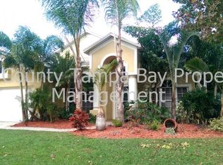 11508 Wellman Dr, Riverview, FL 33578