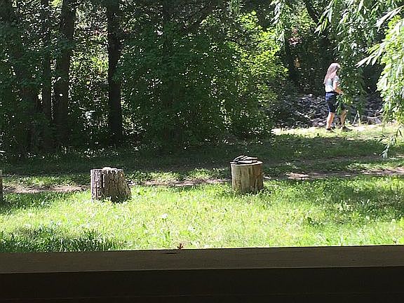 2nd image of 25 Mountain Trout Ln