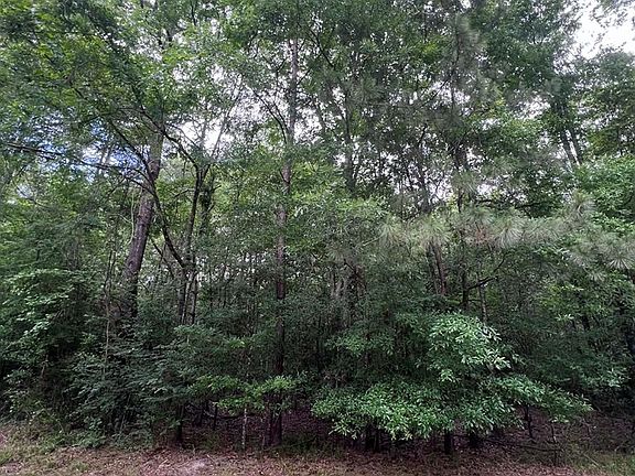 4th image of 776 Walnut Run Dr