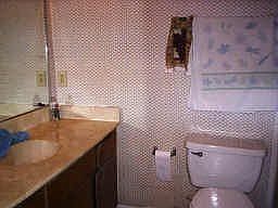 3rd image of 10211 Sugar Branch Dr APT 393