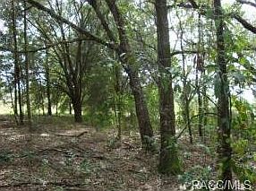 2nd image of 8180 E Derby Oaks Dr