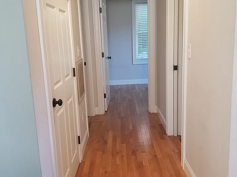 Hallway to Bathroom, Bedrooms and hallway closet.