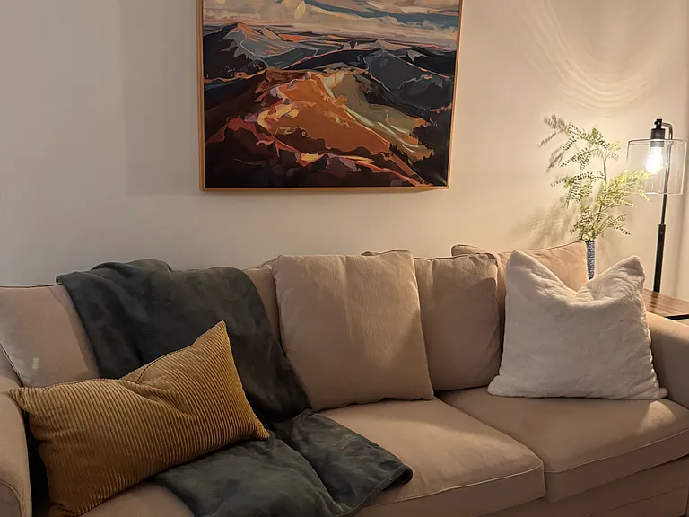 Living room - cozy couch, throw pillows and blankets