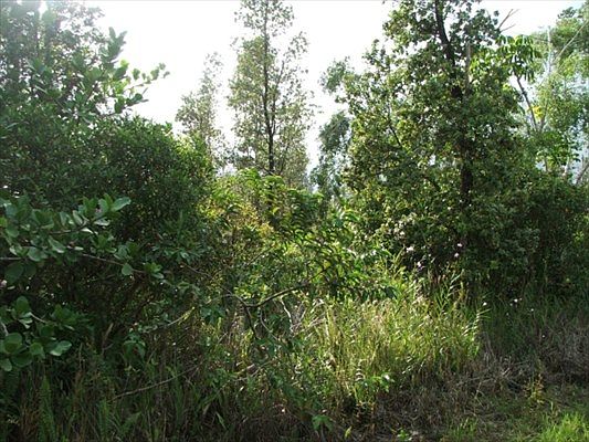 1st image of 5th Ave Lot 2340