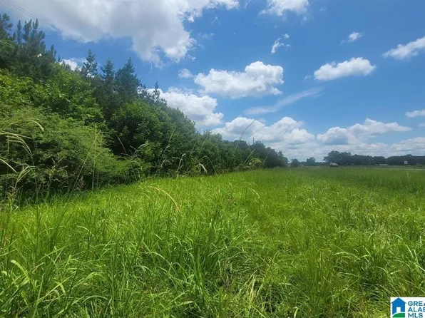 0 Highway 280, Harpersville, AL 35078