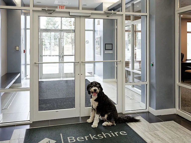 Pet Friendly Community
