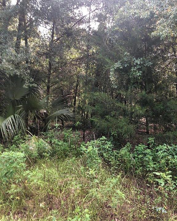 2nd image of 0 SE 93rd Ave. Rd