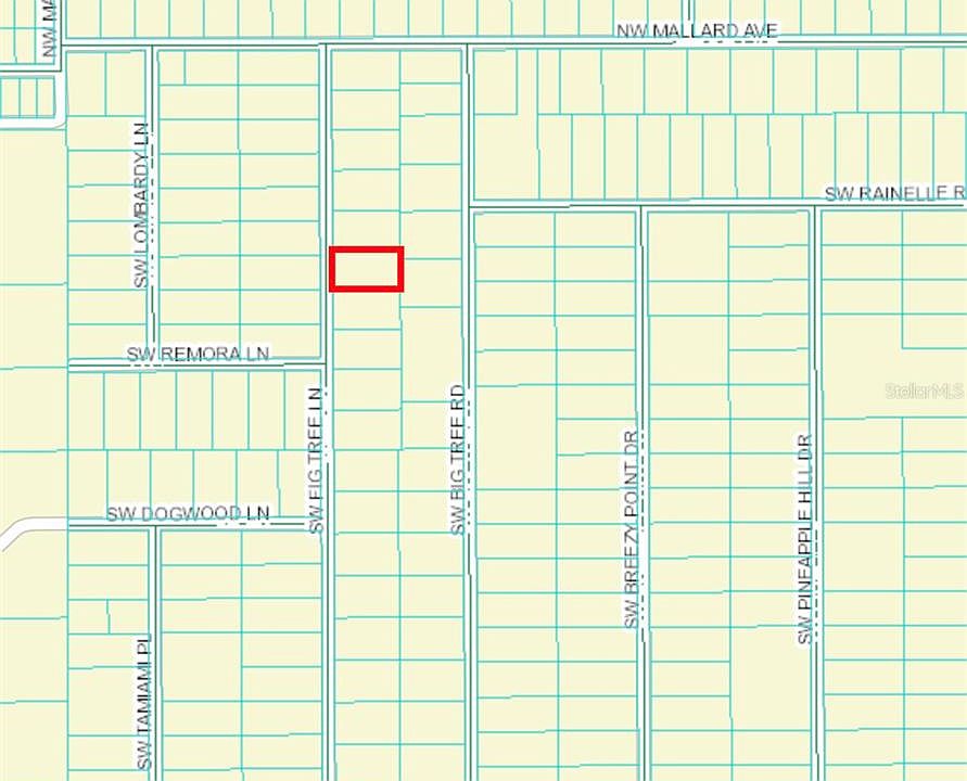 2nd image of SW Fig Tree Ln #8