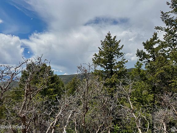 5th image of 9395 Ridge Pine Rd #807