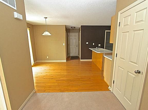 3rd image of 9812 Veridian Ln