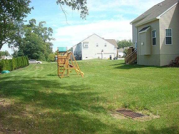 August 2011 - Backyard View under shaddy tree