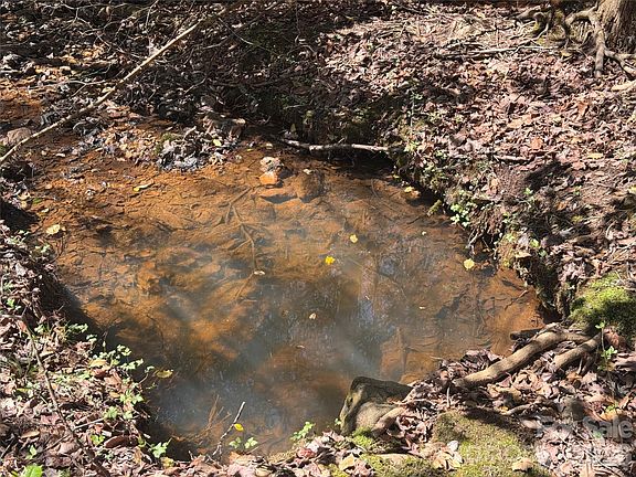 5th image of 335 Woodrow Hoyle Rd