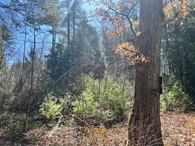 0 Neale Rd, Royalston, MA, 01368