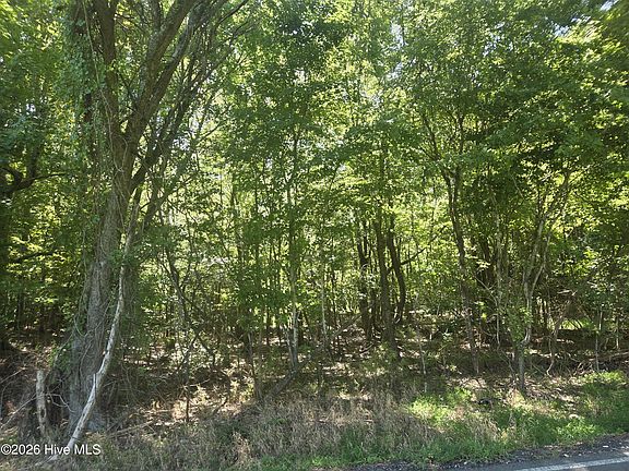 5th image of 000 Camp Cale Road