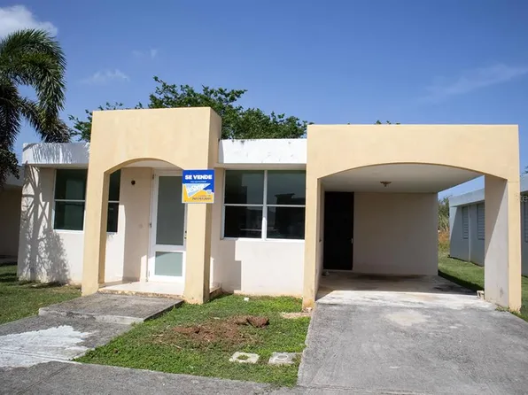 Coral #43, Arecibo, PR 00612