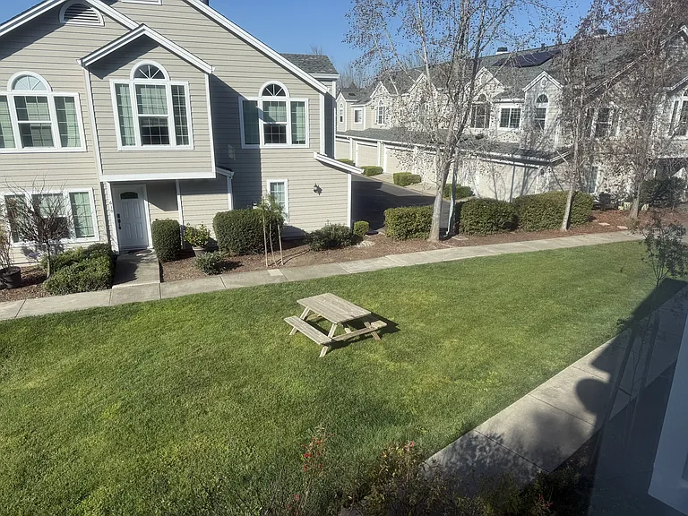 558 Torrey Pine Ln — Photo 15