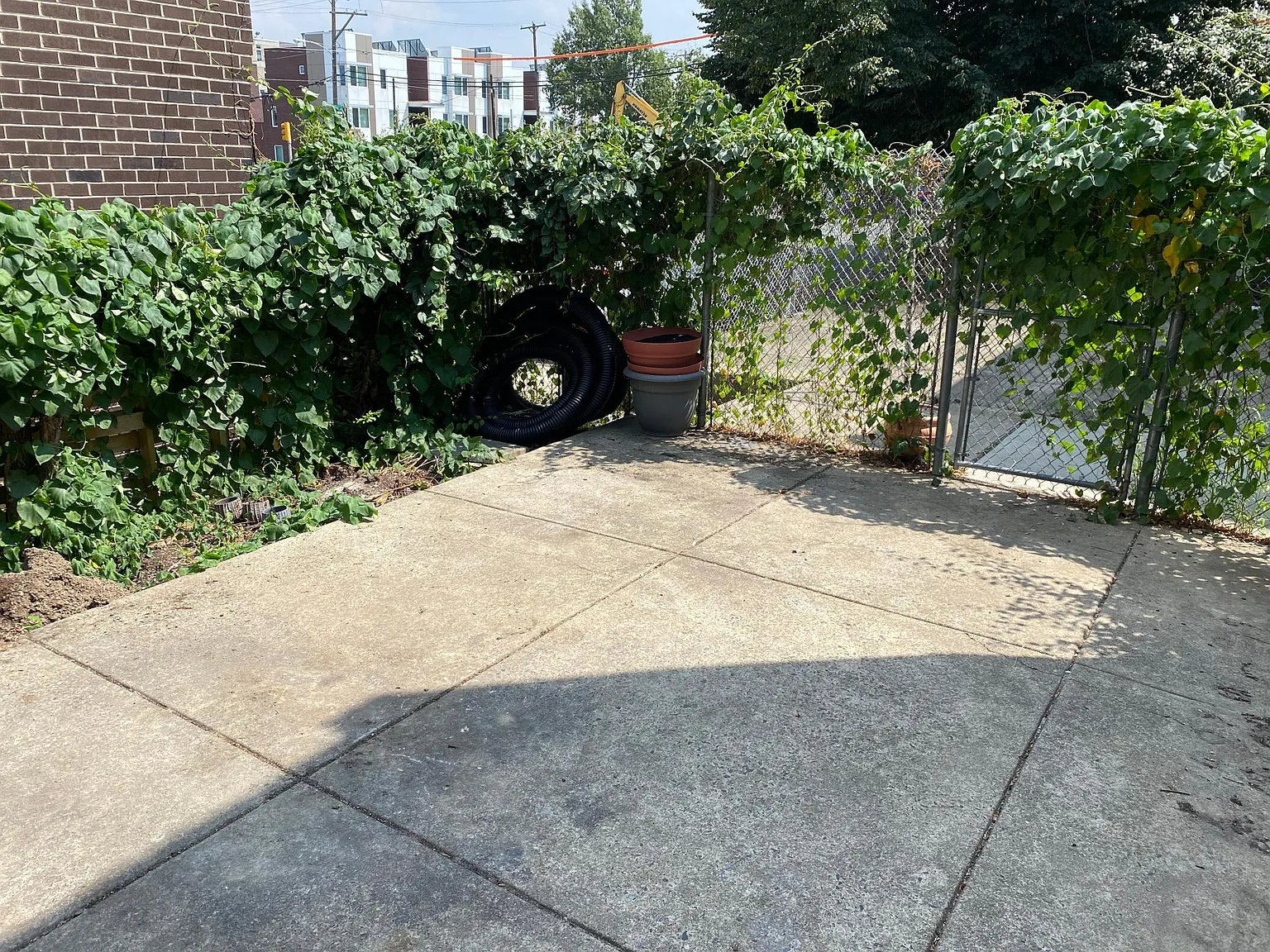 5 bed, $2,500 — Photo 4