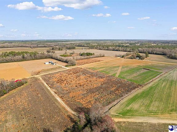 5th image of Acacia Dr