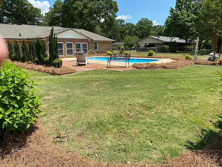 Back Yard View