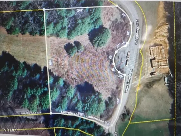 30 Laurelwood Ln, Mountain City, TN 37683
