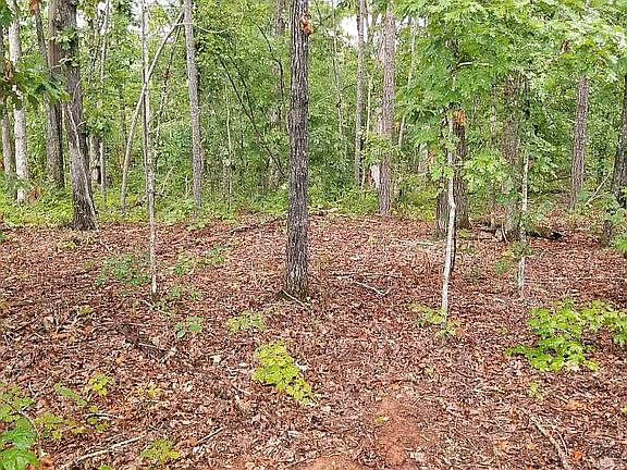 5th image of 8373 Coosa County Road 40