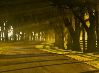 0 Se 22nd Avenue - Lot 29, Ocala, FL 34480