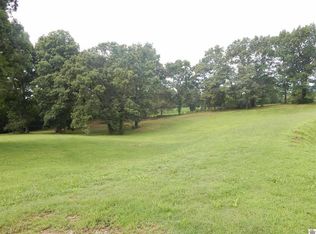 2510 Olive Hamlett Rd, Benton, KY 42025