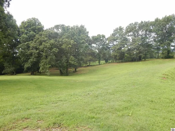 2510 Olive Hamlett Rd, Benton, KY 42025