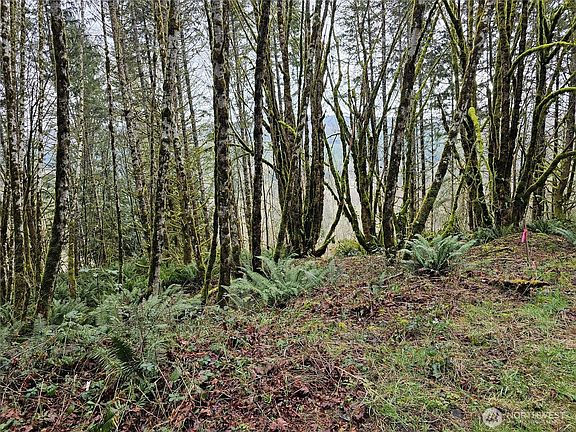 4th image of 573 Clearwater Road