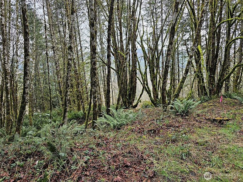 4th image of 573 Clearwater Road