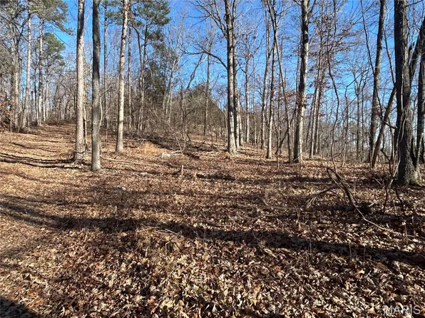 302 Madison St #410, Fredericktown, MO 63645