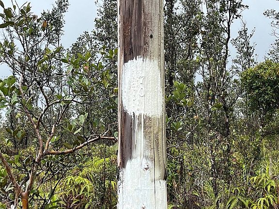 5th image of Road 5 Lot 3853