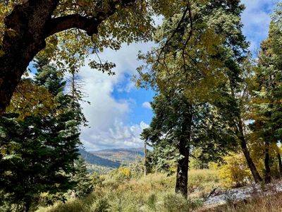 Greenfield Way LOT 11, Palomar Mountain, CA, 92060