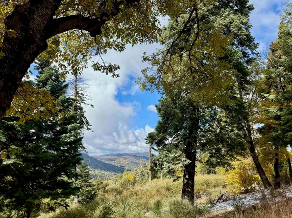 Greenfield Way Lot 11, Palomar Mountain, CA 92060