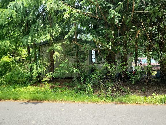 2nd image of 1619 Vine Maple Ln